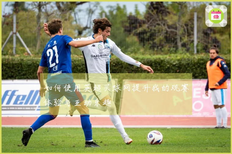 如何使用英超买球网提升我的观赛体验与互动乐趣
