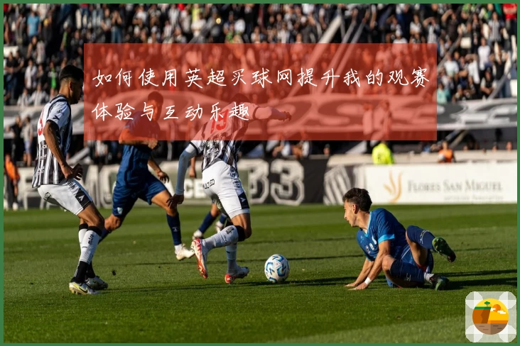 如何使用英超买球网提升我的观赛体验与互动乐趣