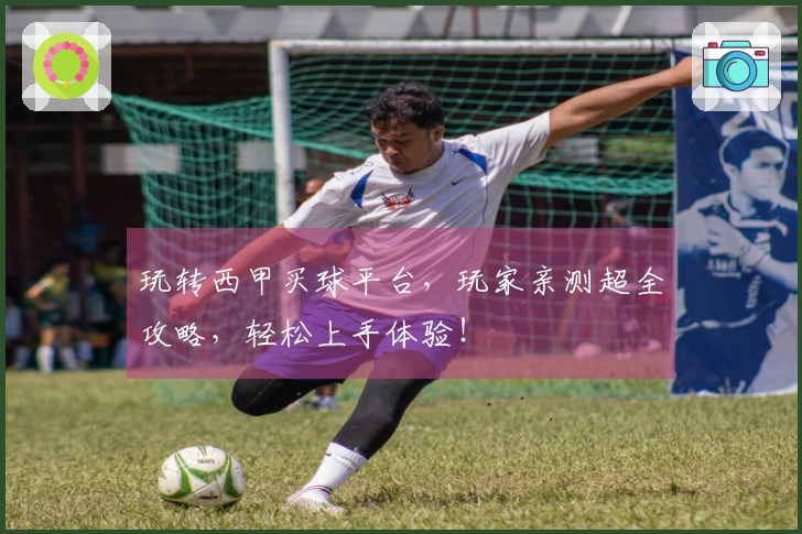 玩转西甲买球平台，玩家亲测超全攻略，轻松上手体验！