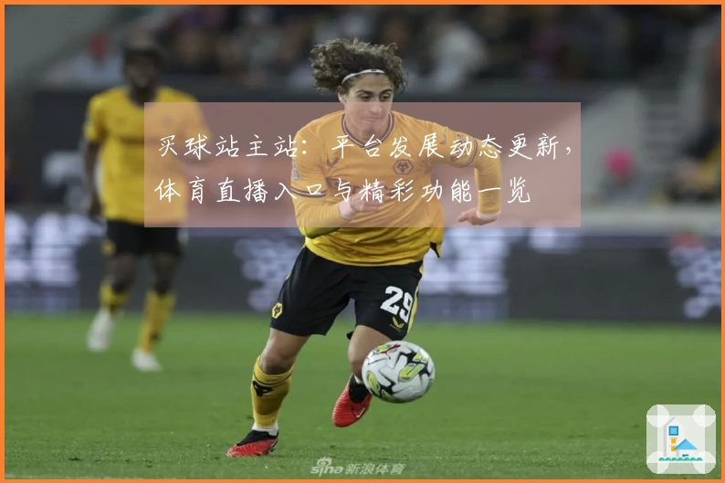 买球站主站：平台发展动态更新，体育直播入口与精彩功能一览