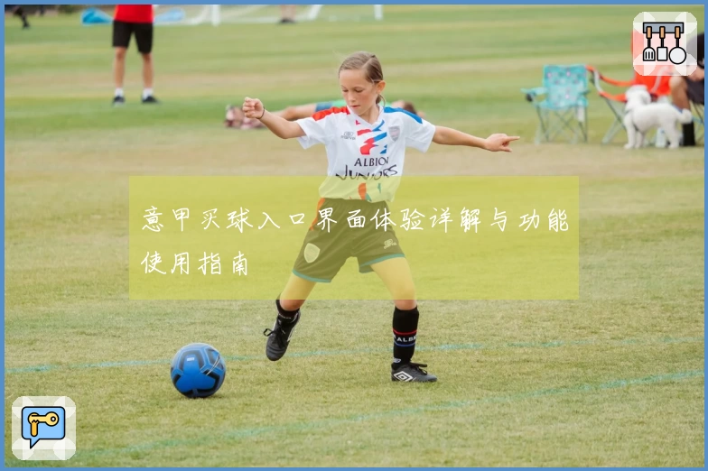 意甲买球入口界面体验详解与功能使用指南